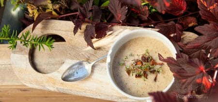 Oppskrift på Kantarellsuppe – Vegetarmat.org