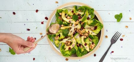 Oppskrift på Brokkolisalat med kikerter og tranebær – Vegetarmat.org