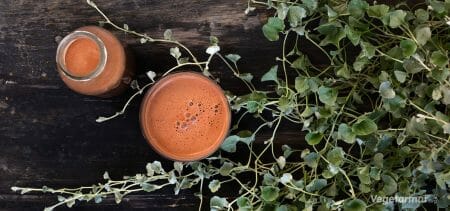 Oppskrift på Kakaomelk med chia – Vegetarmat.org