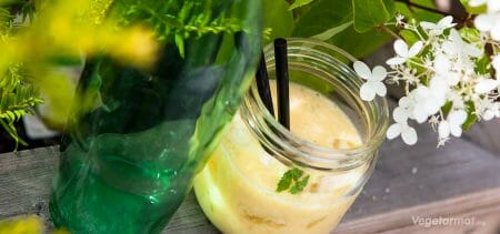 Oppskrift på Smoothie med ingefær og mynte – Vegetarmat.org