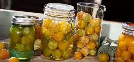 Oppskrift på Fermenterte plommer – Vegetarmat.org